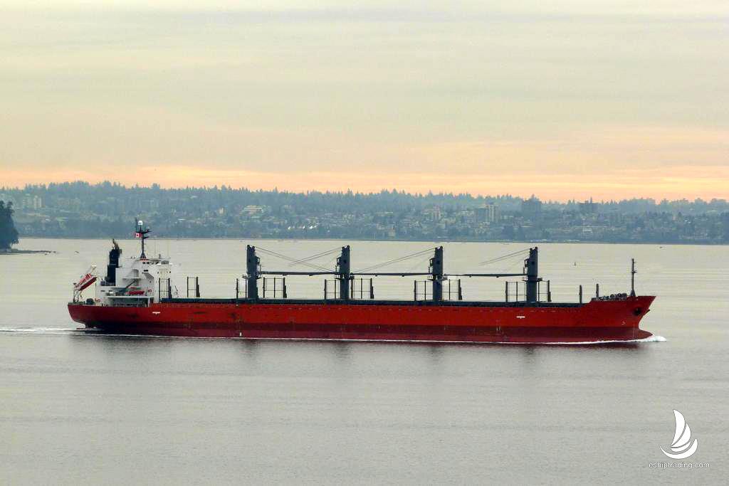 32115 T Bulk Carrier For Sale