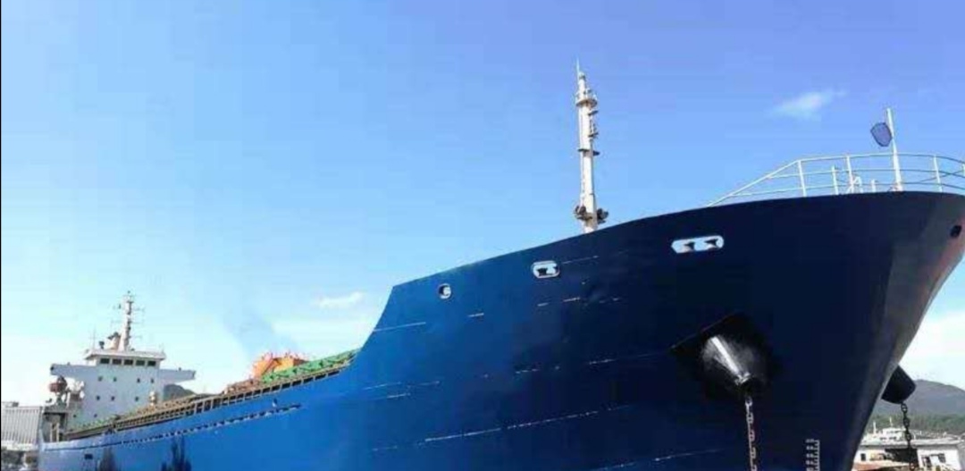 11022 T Bulk Carrier For Sale