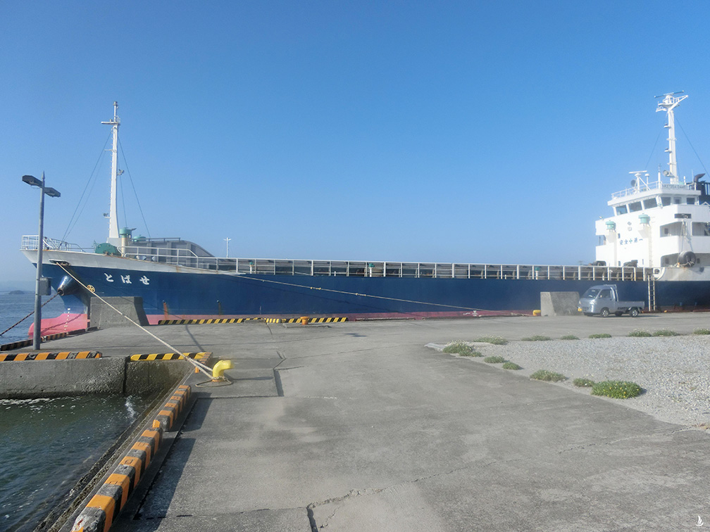 700 T General Cargo Vessel For Sale