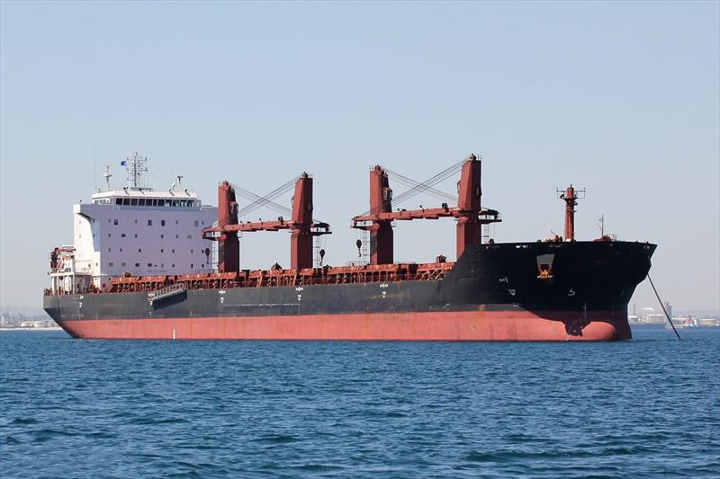 53390 T Bulk Carrier For Sale