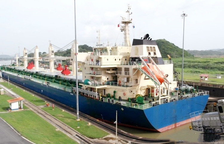 56361 T Bulk Carrier For Sale