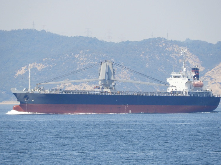 10300 T General Cargo Ship For Sale