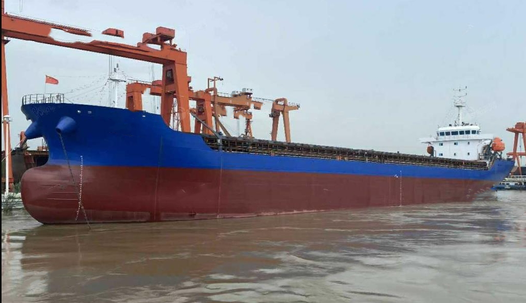 11060 T Bulk Carrier For Sale