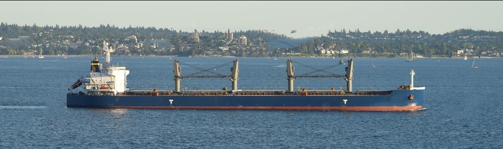 55818 T Bulk Carrier For Sale