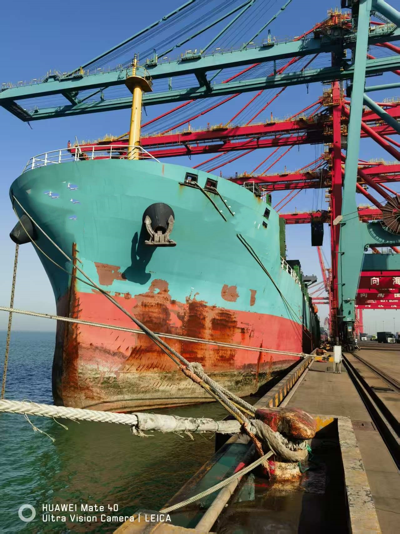 25177 T MPP For Sale