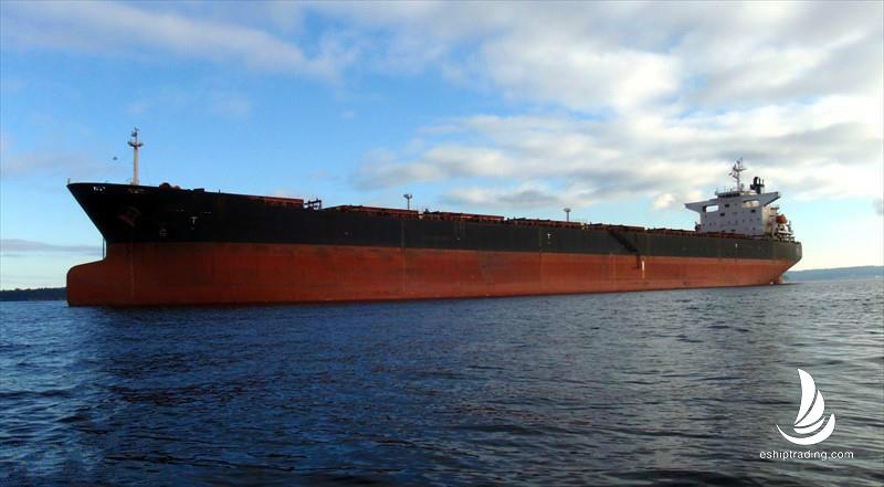 73865 T Bulk Carrier For Sale