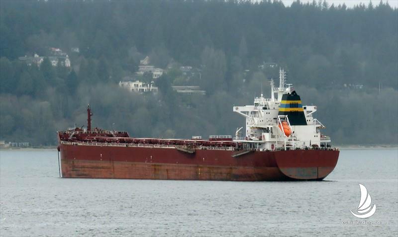 81199 T Bulk Carrier For Sale