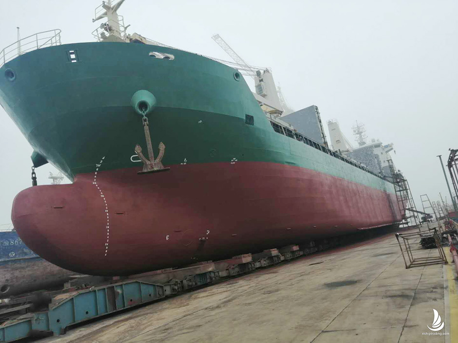 9005 T Bulk Carrier For Sale