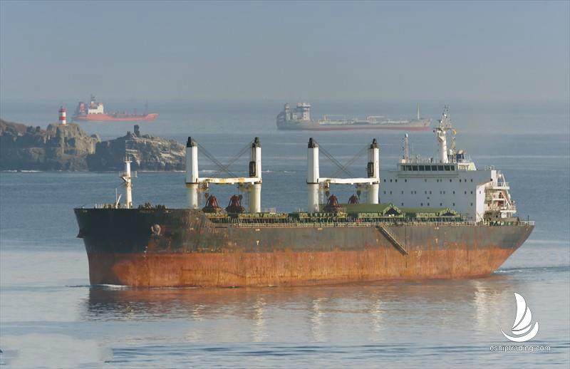 57005 T Bulk Carrier For Sale