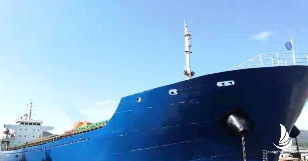 11022 T Bulk Carrier For Sale