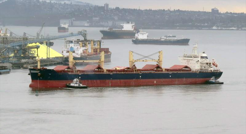 56830T Bulk Carrier For Sale