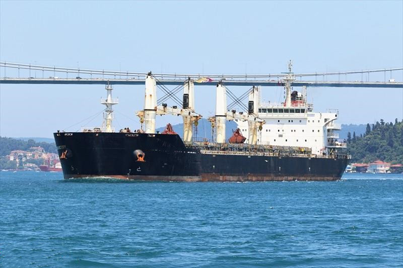 56692 T Bulk Carrier For Sale