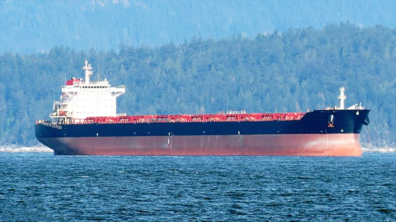 79800 T Bulk Carrier For Sale