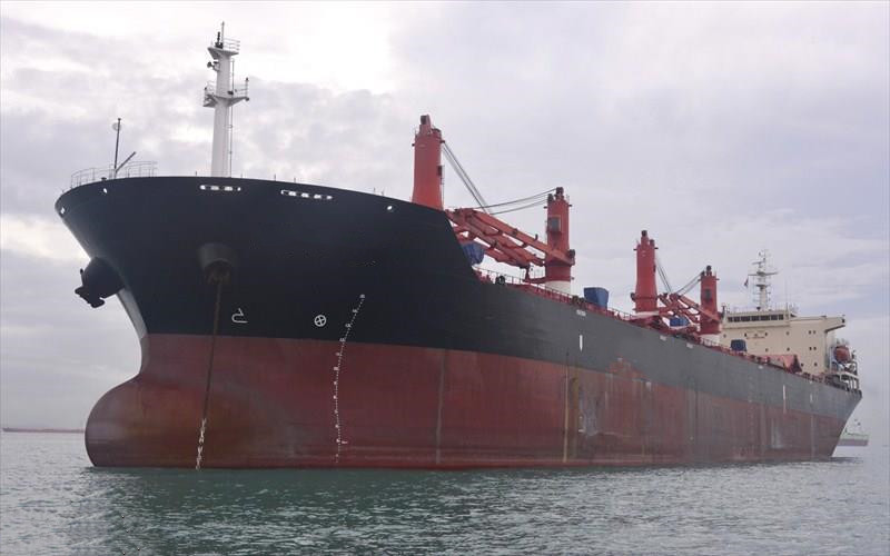 48805 T Bulk Carrier For Sale