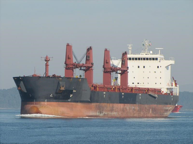 53390 T Bulk Carrier For Sale