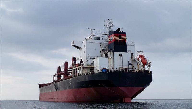 53390 T Bulk Carrier For Sale