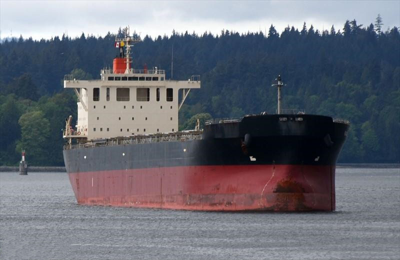 78129 T Bulk Carrier For Sale