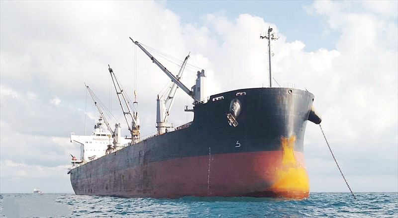 58107 T Bulk Carrier For Sale