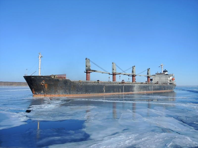 45572 T Bulk Carrier For Sale