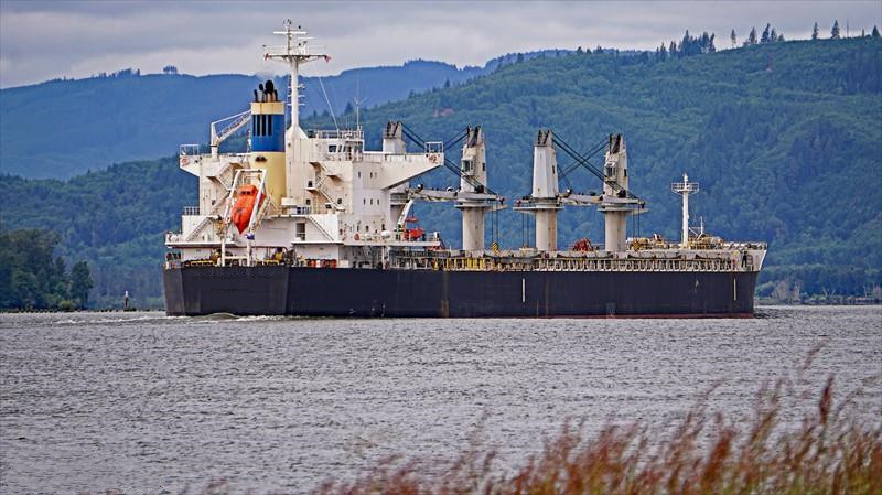 56129 T Bulk Carrier For Sale