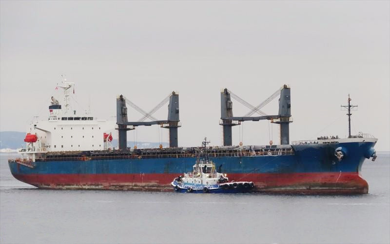 33126 T Bulk Carrier For Sale