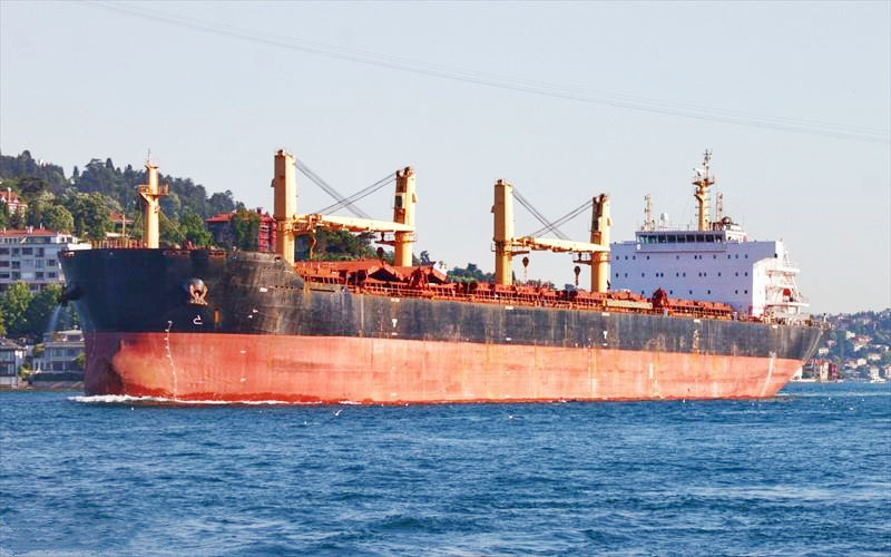 56942 T Bulk Carrier For Sale