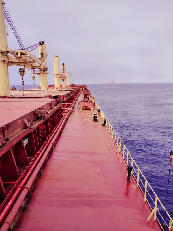 56942 T Bulk Carrier For Sale