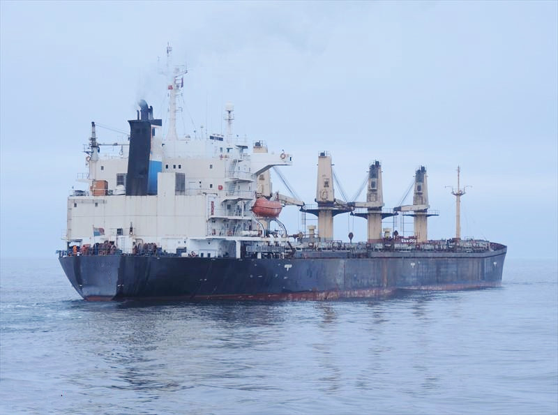 43105 T Bulk Carrier For Sale