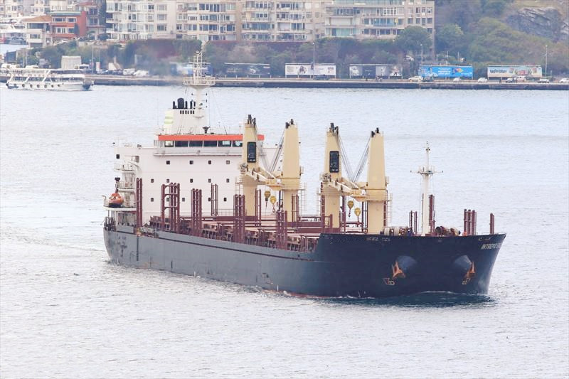 33773 T Bulk Carrier For Sale