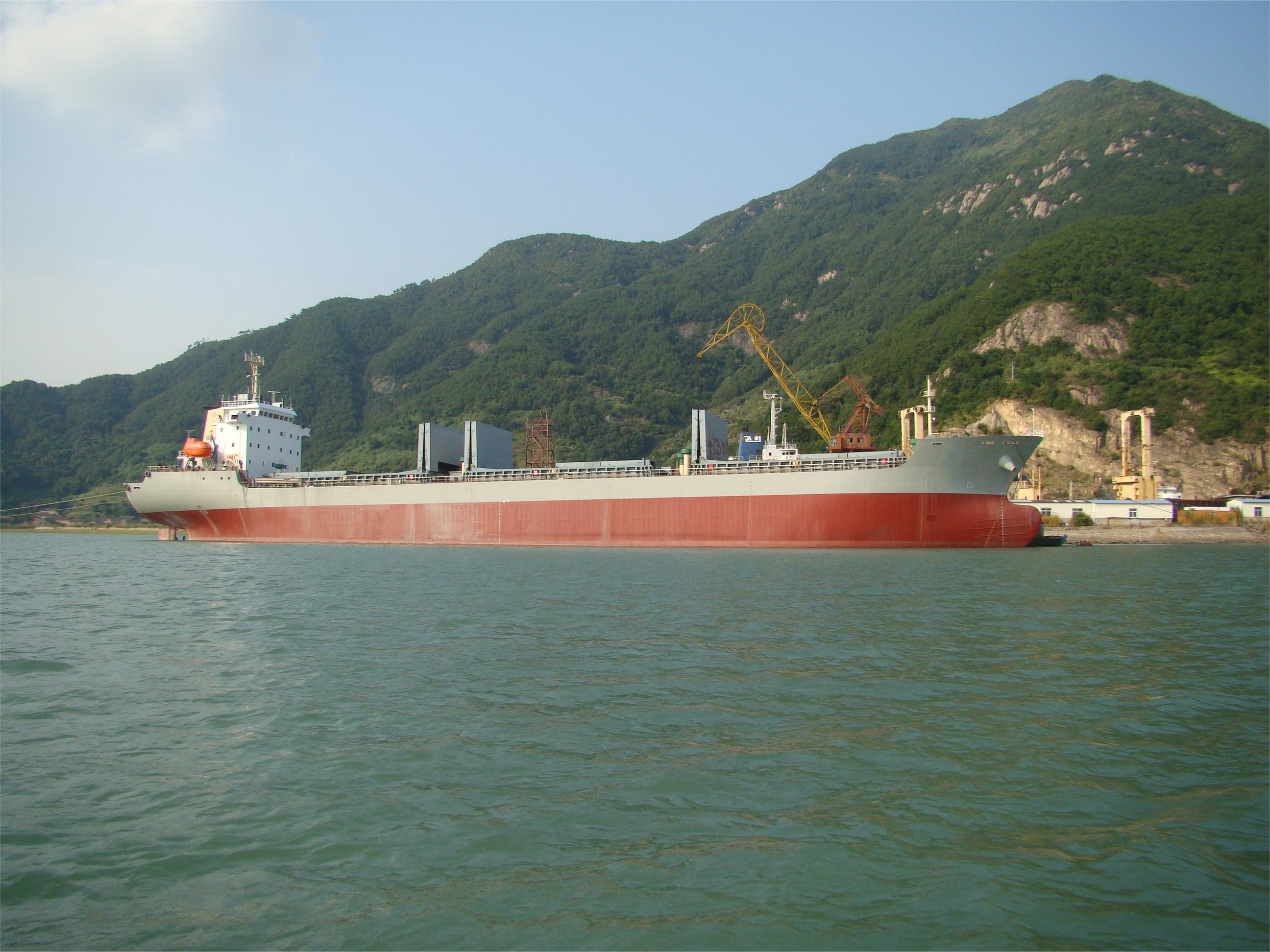 13223 T Bulk Carrier For Sale