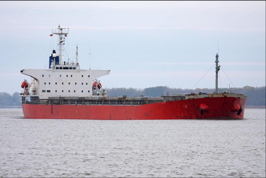 69189 T Bulk Carrier For Sale