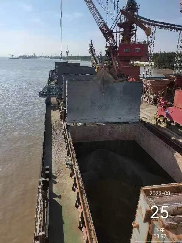 11766 T Bulk Carrier For Sale