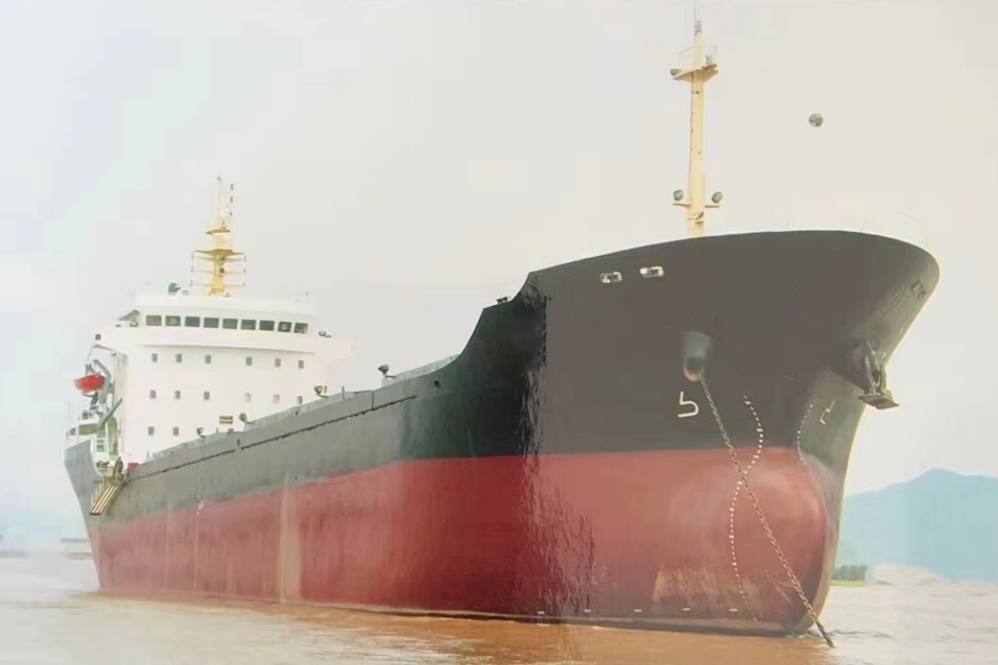 11766 T Bulk Carrier For Sale