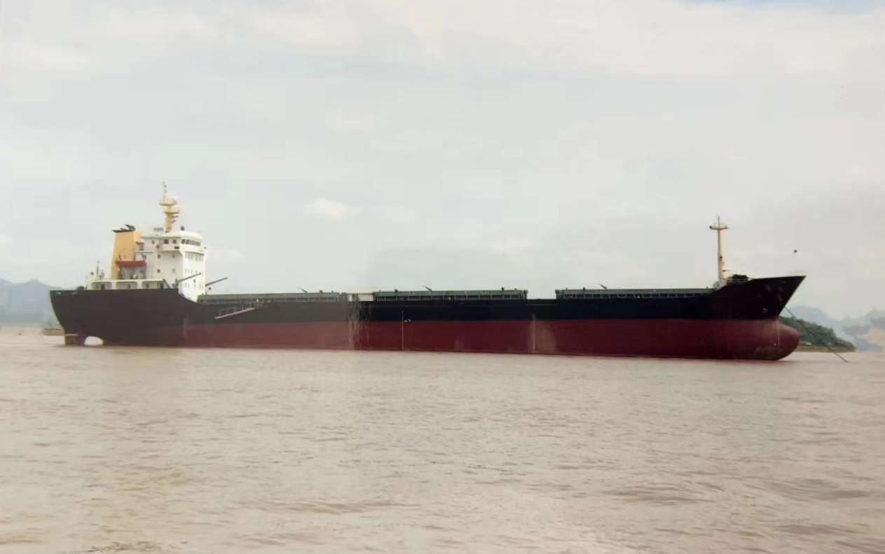 11766 T Bulk Carrier For Sale