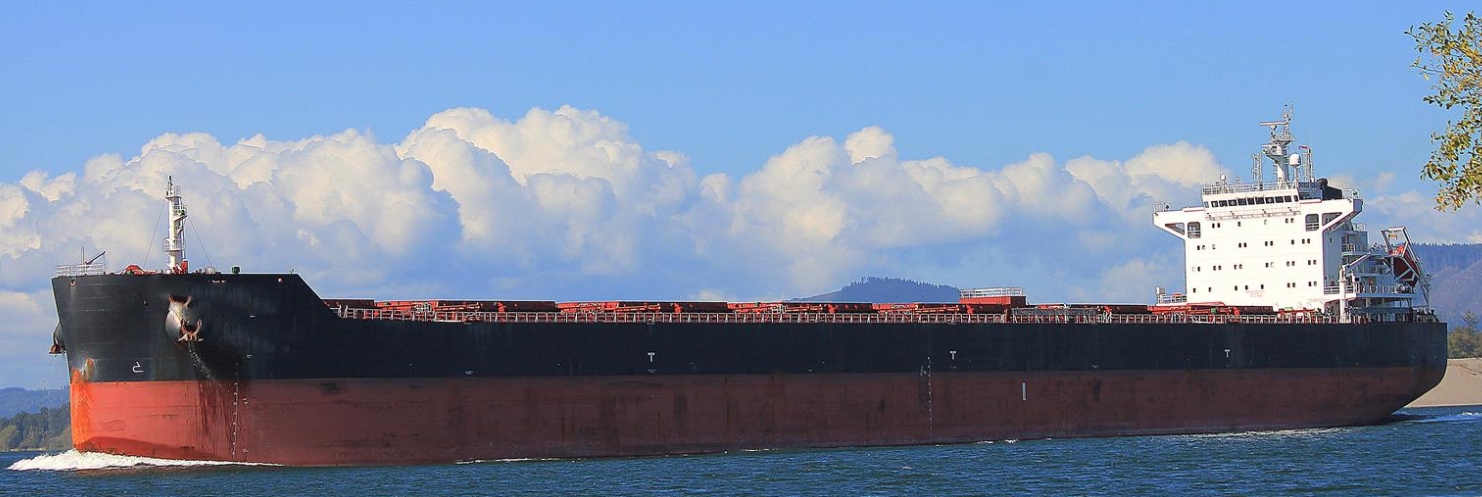 81680 T Bulk Carrier For Sale