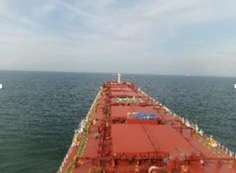 81000 T Bulk Carrier For Sale