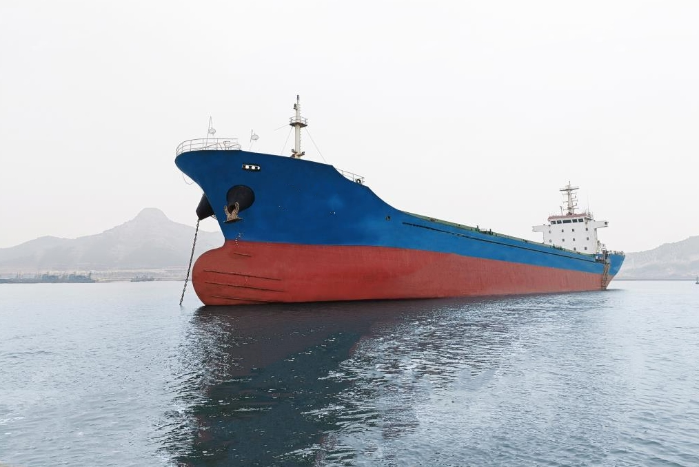 10650 T Bulk Carrier For Sale