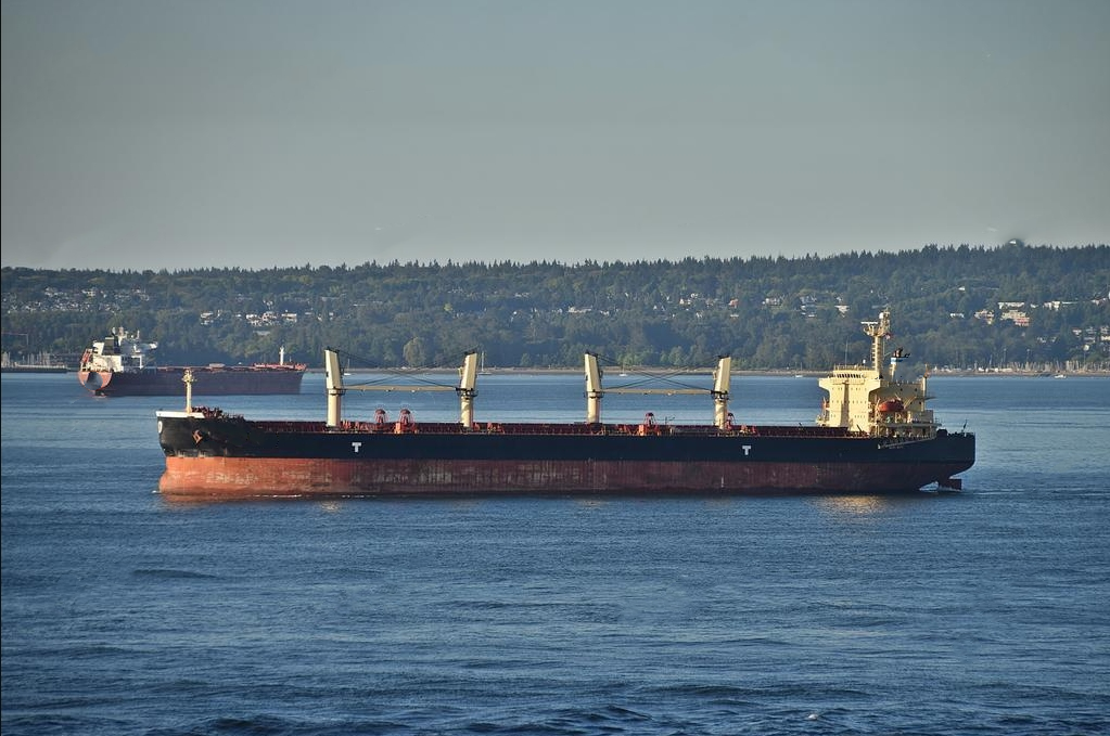 56700 T Bulk Carrier For Sale