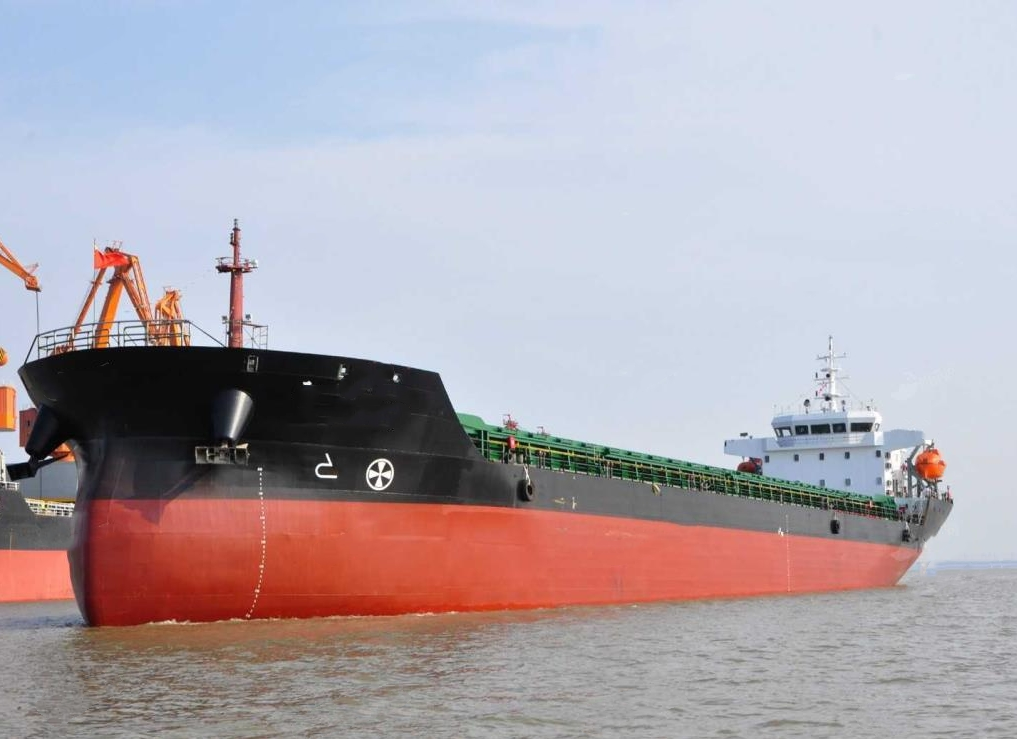 9863 T Bulk Carrier For Sale