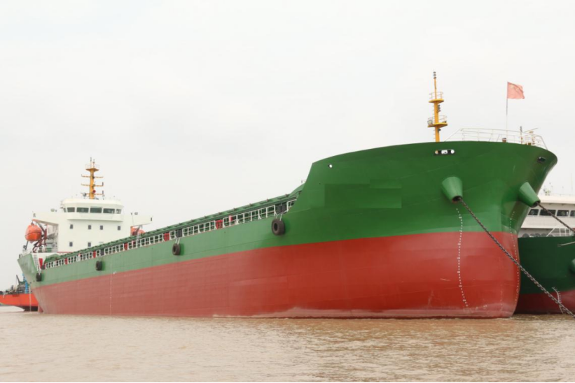 11226 T Bulk Carrier For Sale