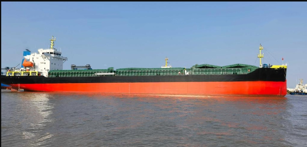 12490 T Bulk Carrier For Sale