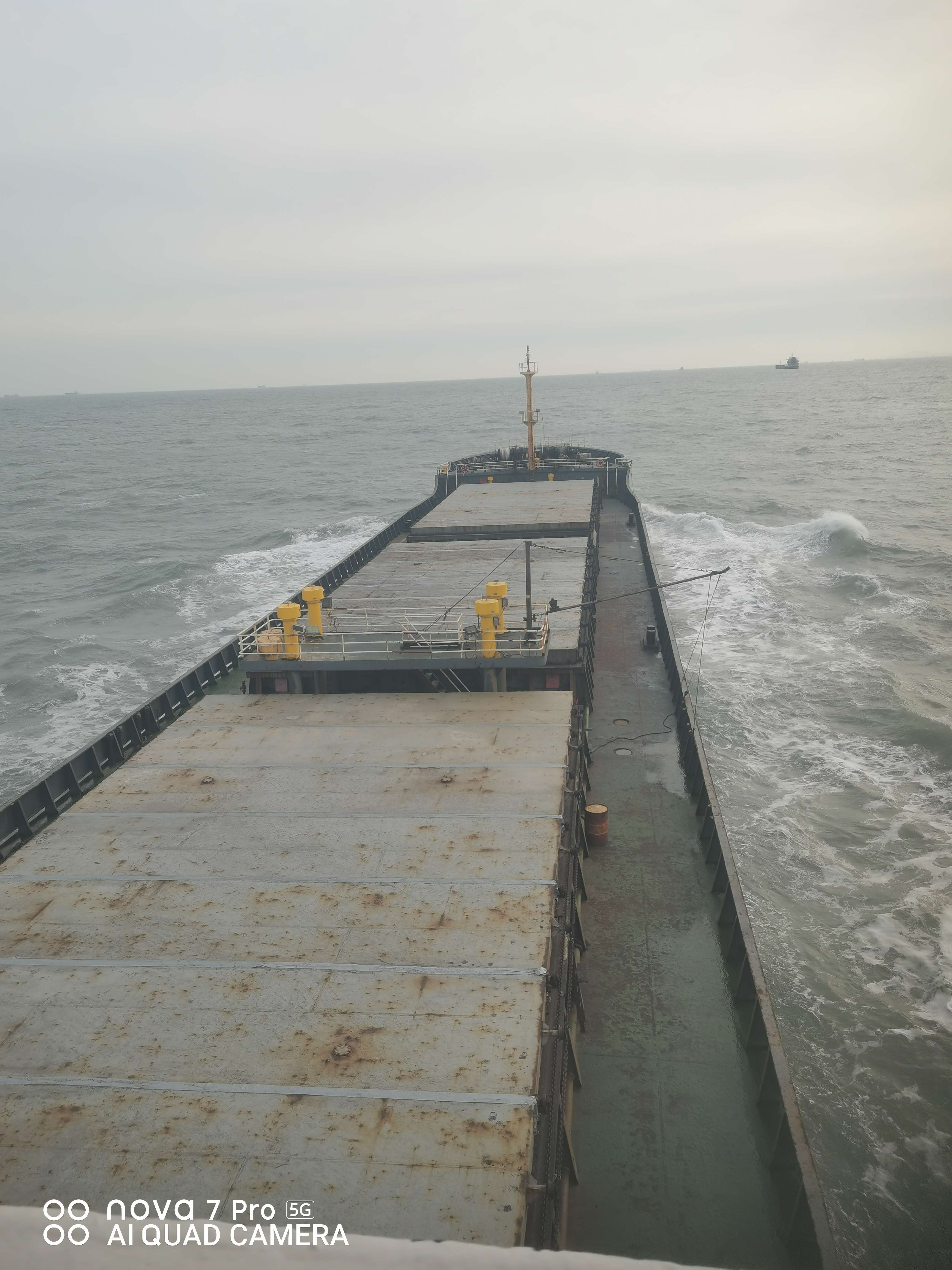 10769 T Bulk Carrier For Sale