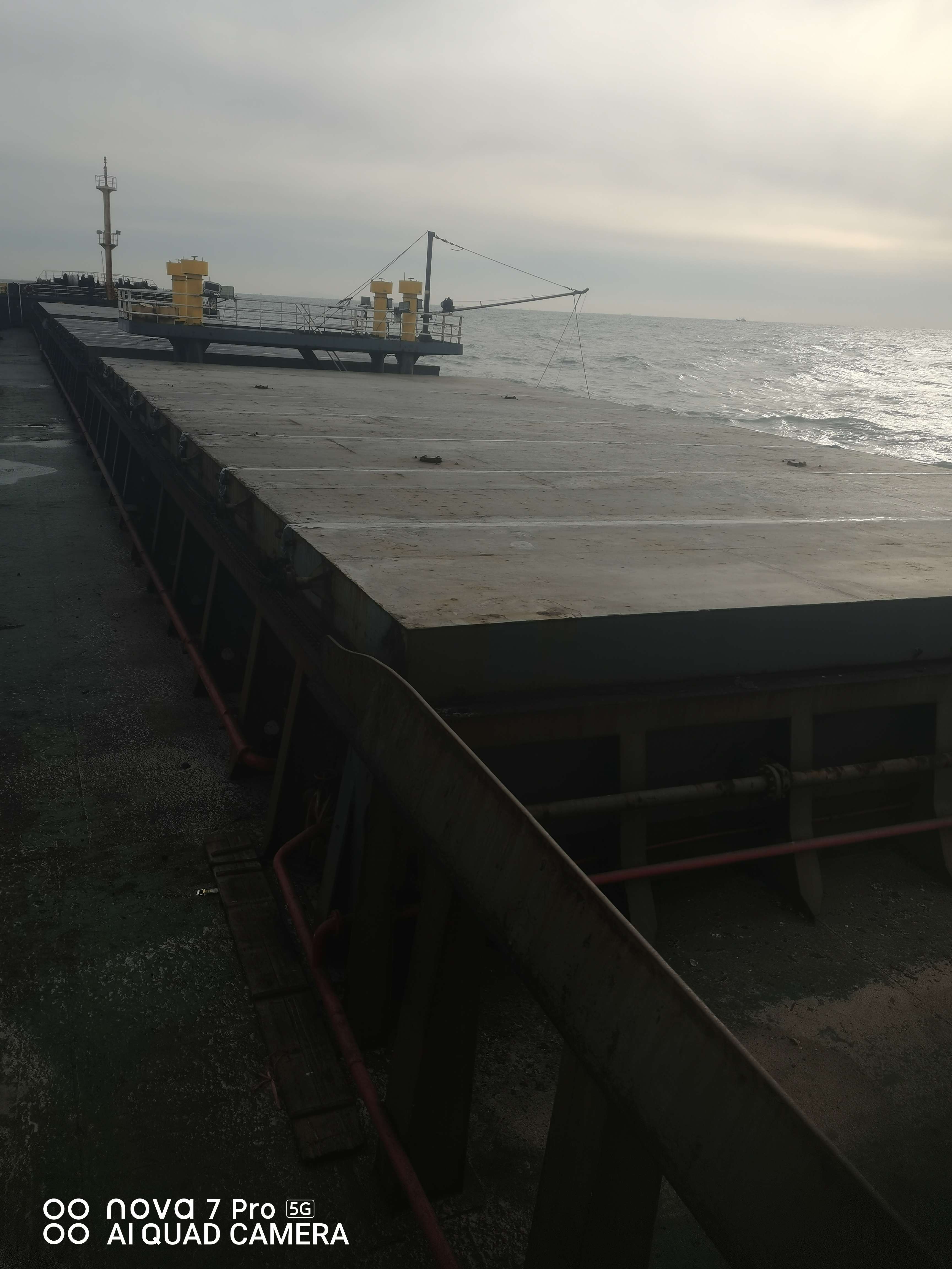 10769 T Bulk Carrier For Sale