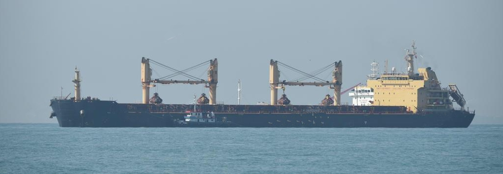 56700 T Bulk Carrier For Sale