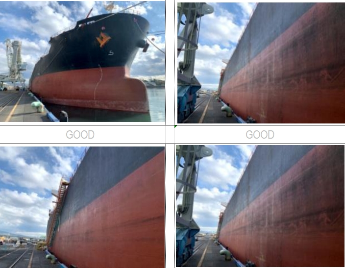 55650 T Bulk Carrier For Sale