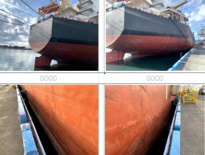 55650 T Bulk Carrier For Sale