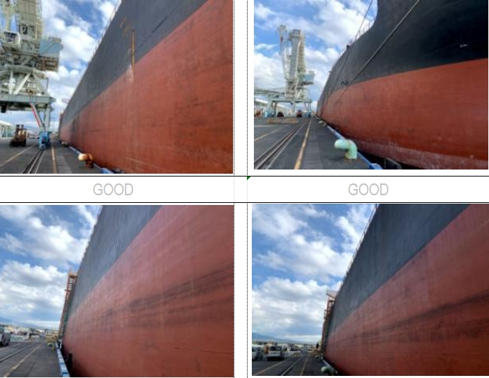 55650 T Bulk Carrier For Sale