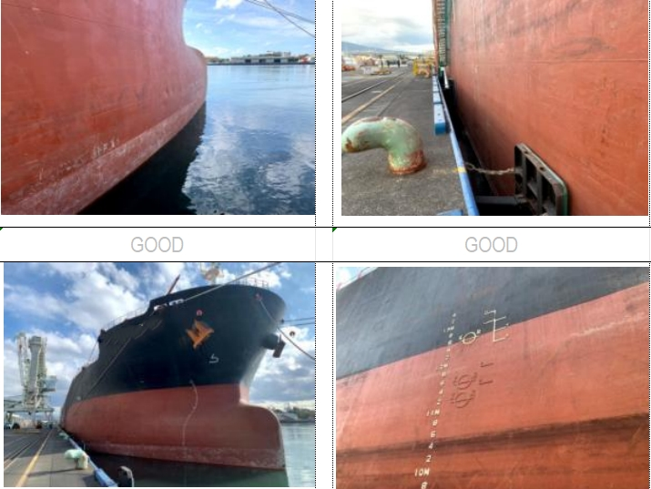 55650 T Bulk Carrier For Sale