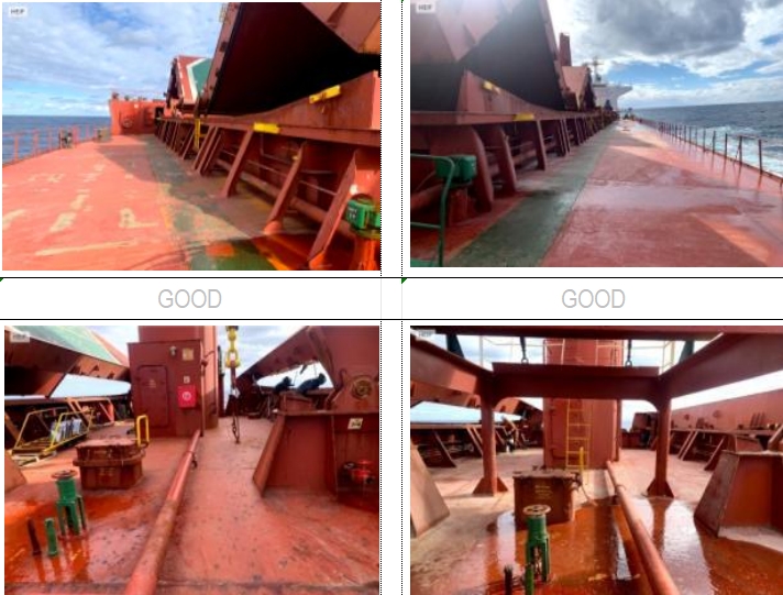 55650 T Bulk Carrier For Sale