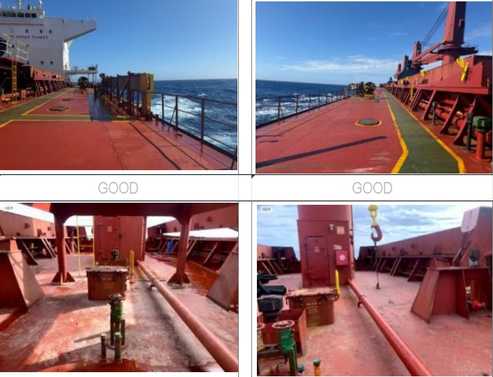 55650 T Bulk Carrier For Sale